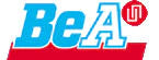 BeA Products Collated Fasteners